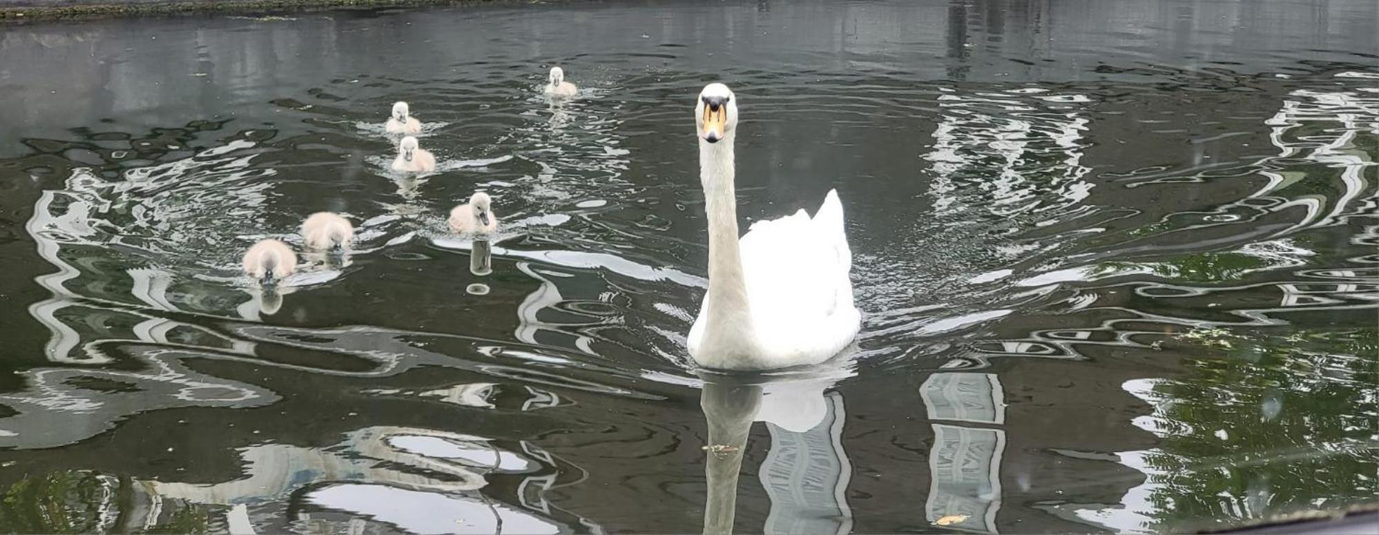 Comfy Canal Boat In Little Venice For Family & Friends Hotell London Eksteriør bilde